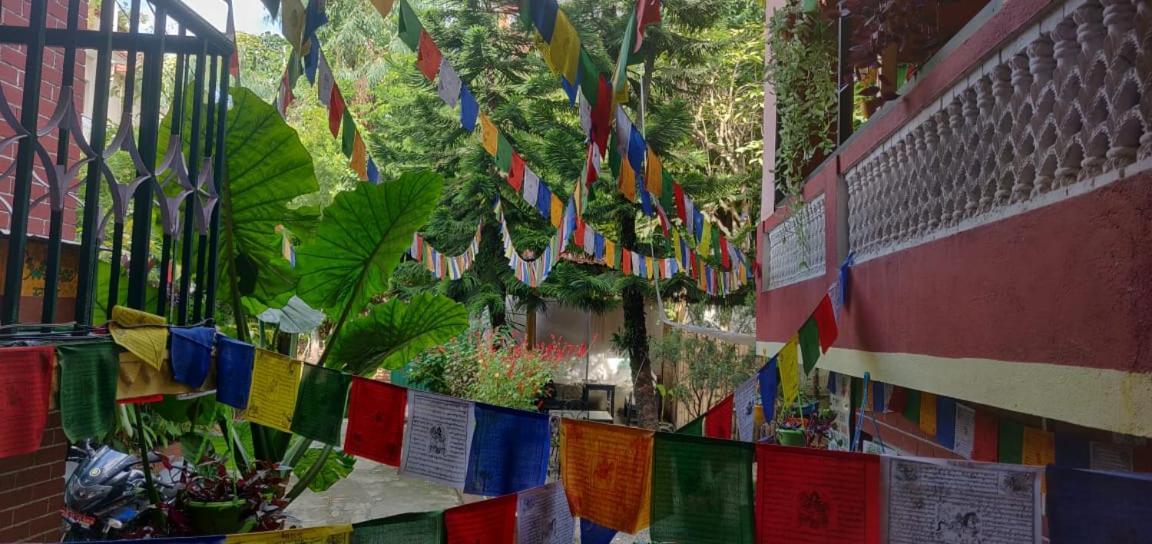 Nirvana Green Peace Home Katmandu Eksteriør billede