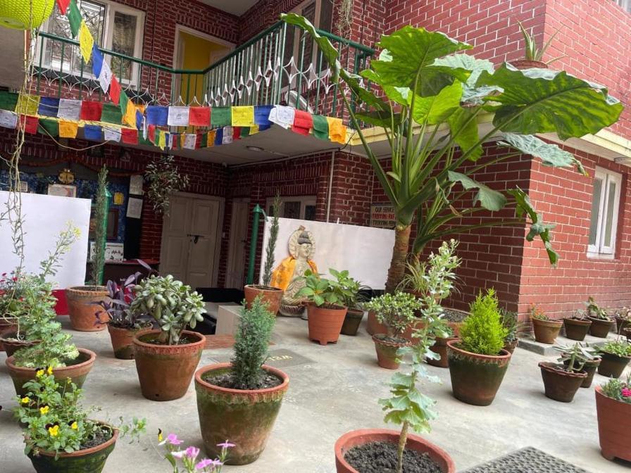 Nirvana Green Peace Home Katmandu Eksteriør billede