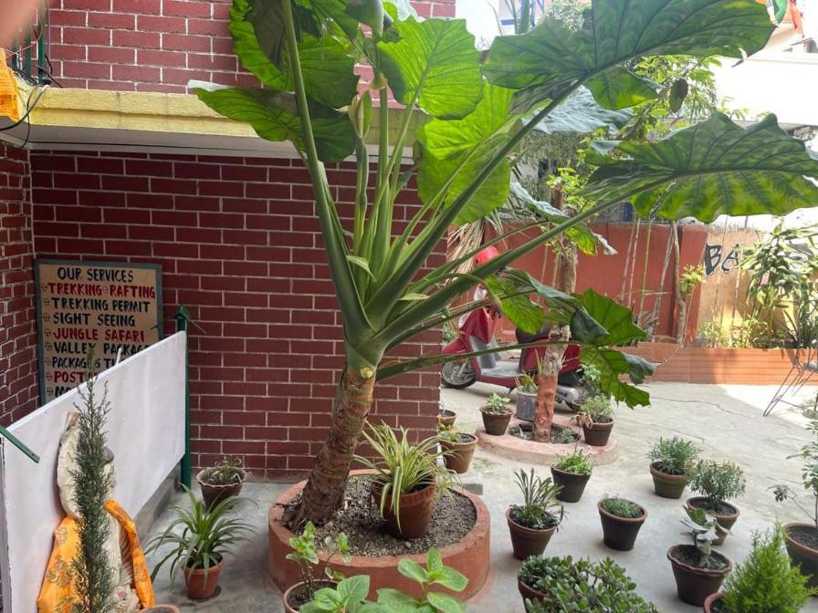 Nirvana Green Peace Home Katmandu Eksteriør billede