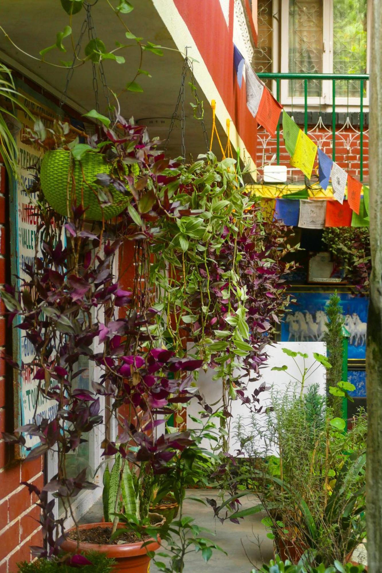 Nirvana Green Peace Home Katmandu Eksteriør billede