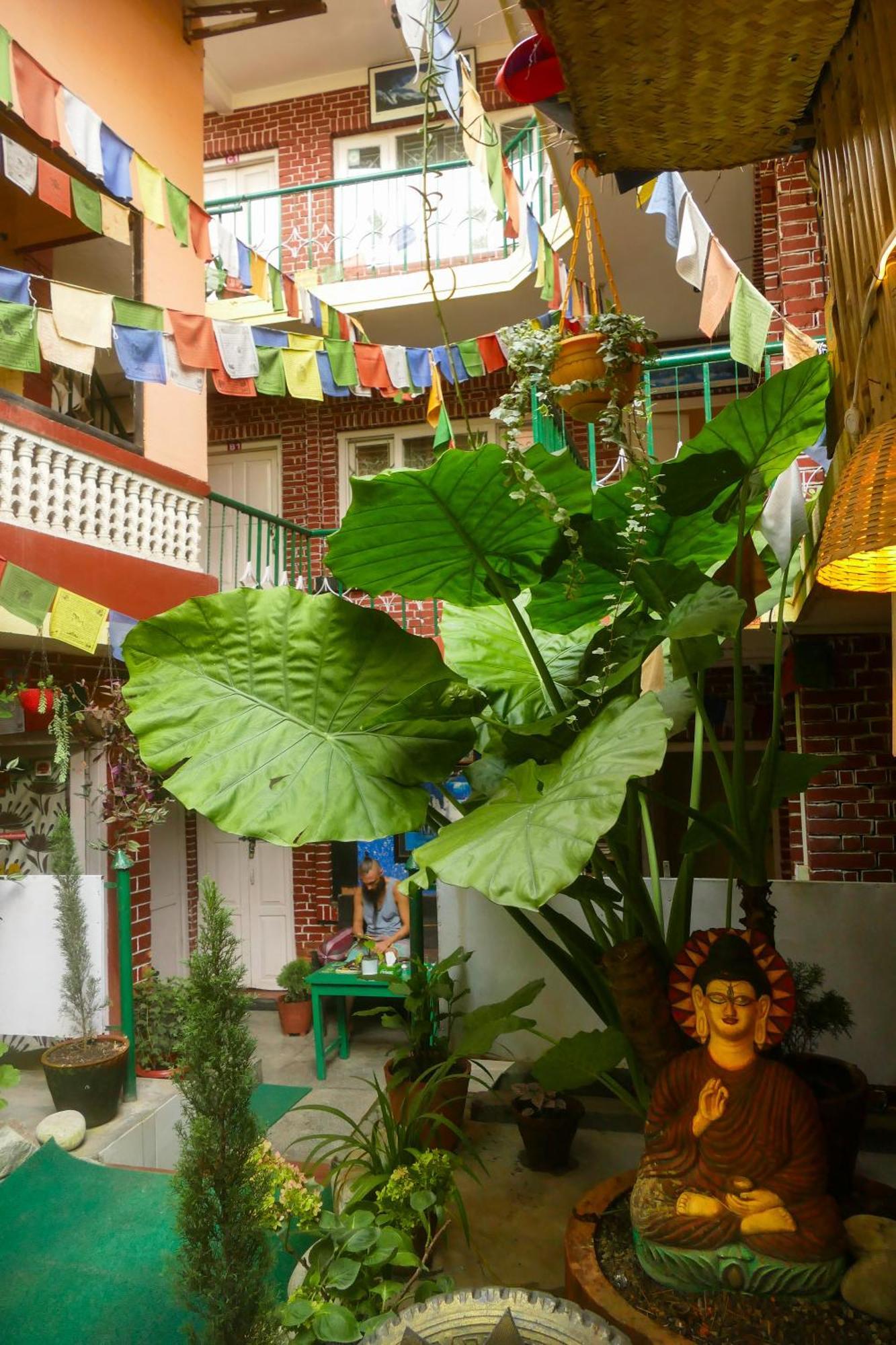 Nirvana Green Peace Home Katmandu Eksteriør billede