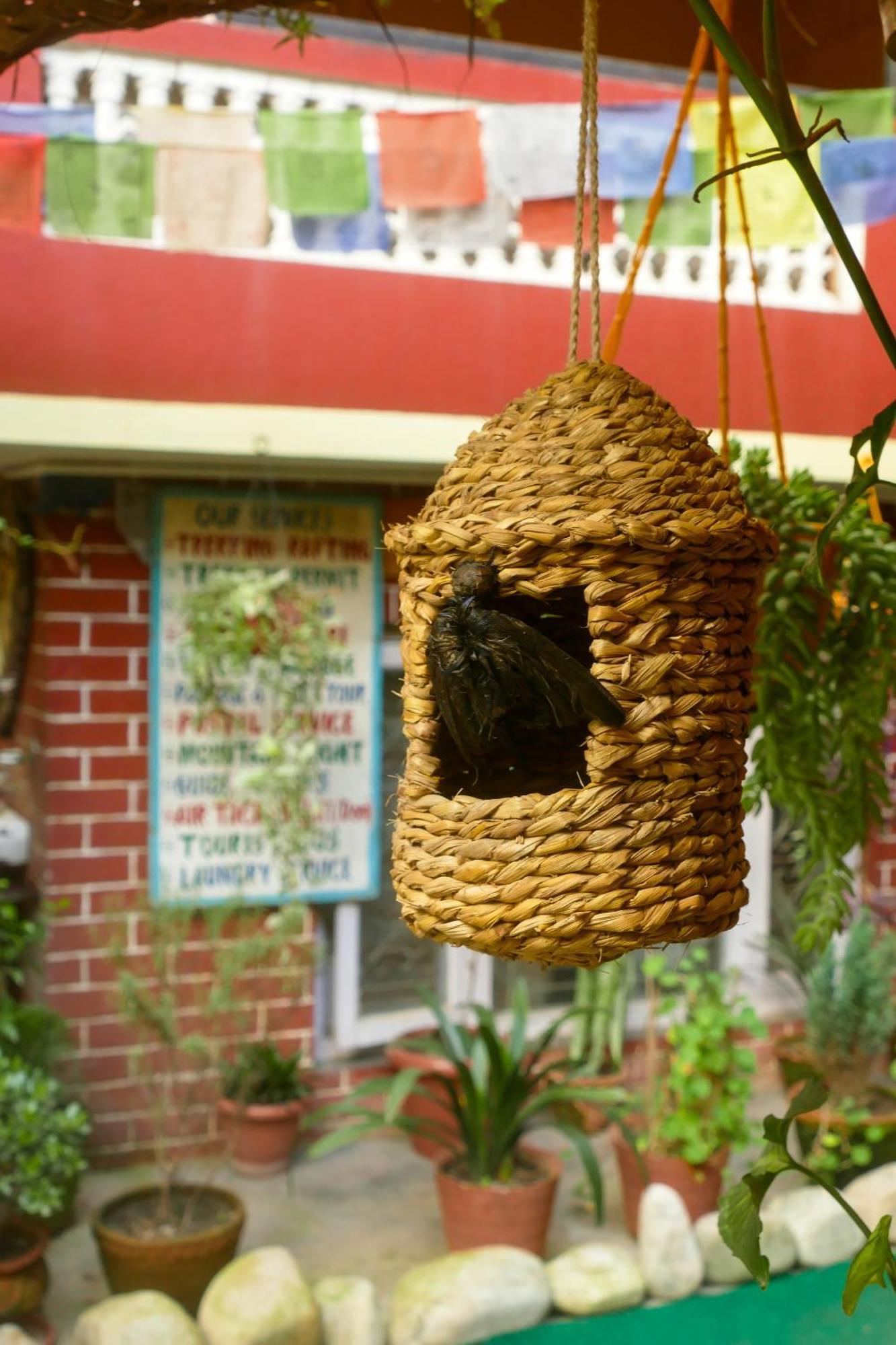 Nirvana Green Peace Home Katmandu Eksteriør billede